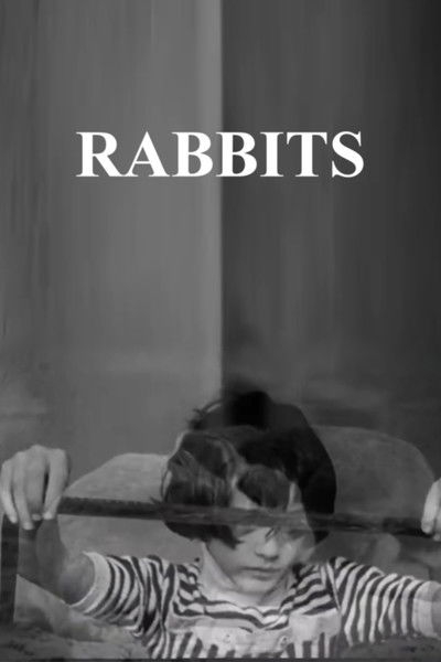 Poster do Filme Rabbits