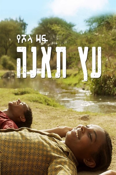 Poster do Filme עץ תאנה