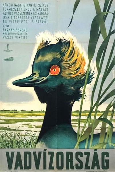 Poster do Filme Vadvízország