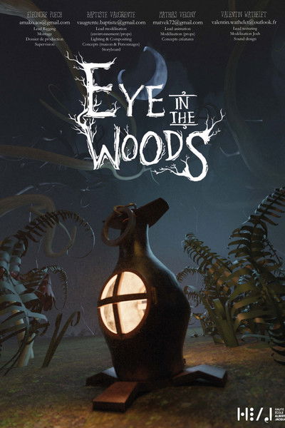 Poster do Filme Eye in the Woods