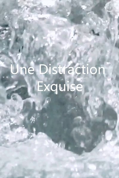 Poster do Filme Une distraction exquise
