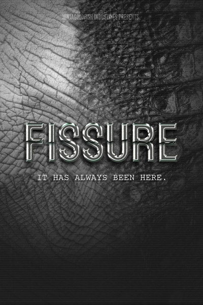 FISSURE