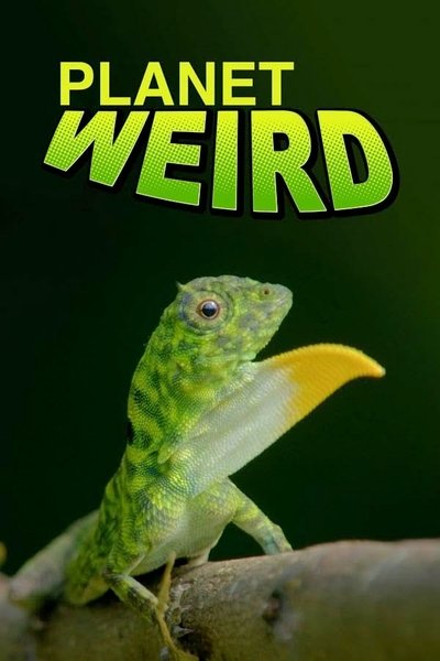 poster for Planet Weird