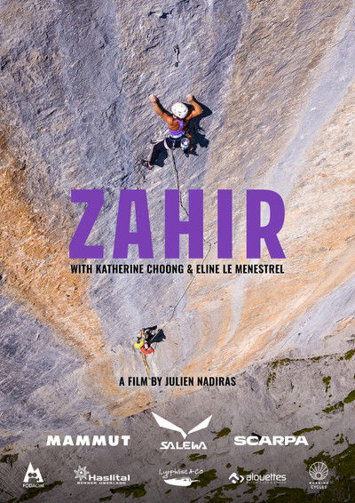 Poster do Filme Zahir