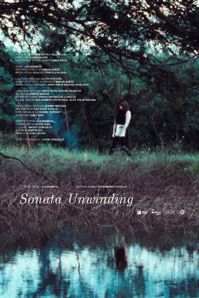 movie poster for Sonata Unwinding