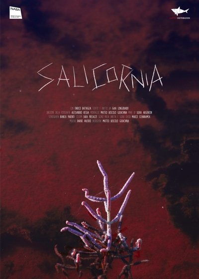 Poster do Filme Salicornia