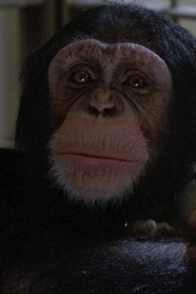 Imagem de Willie