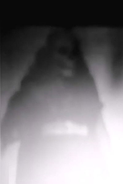 movie poster for Pain Flow Blood Flow