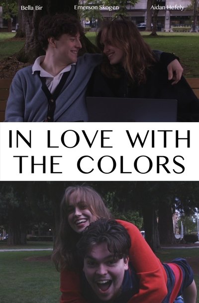 movie poster for In Love With The Colors