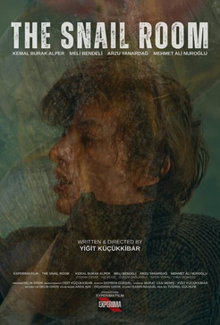 Poster do Filme Salyangoz Odasi