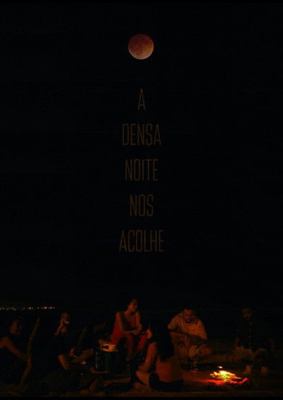 Poster do Filme A densa noite que nos acolhe