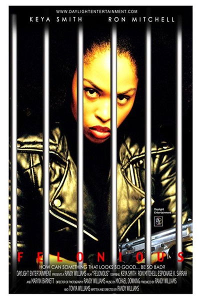 Poster do Filme Felonious