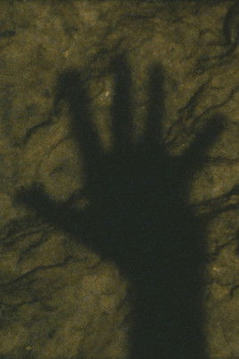 Poster do Filme The Human Torch