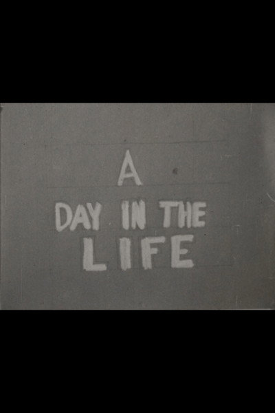 A Day in the Life