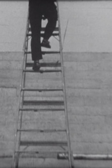 Poster do Filme Welcome to the House of Raven