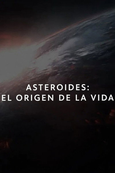 Asteroids: The Spark of Life?