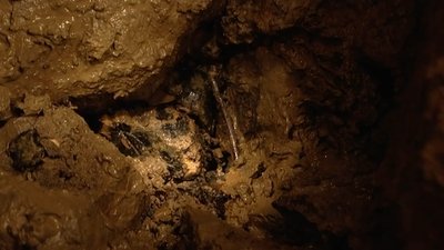 The Bone Caves - Alveston, Gloucestershire