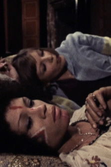 Poster do Filme Les brebis enragées