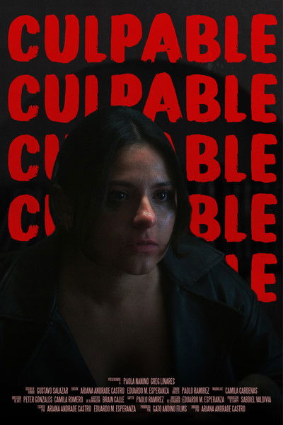 Poster do Filme Culpable