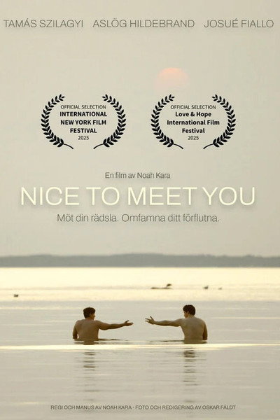Nice to Meet You