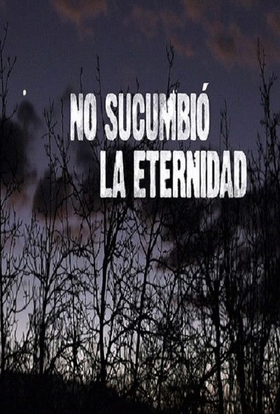 Poster do Filme No sucumbió la eternidad