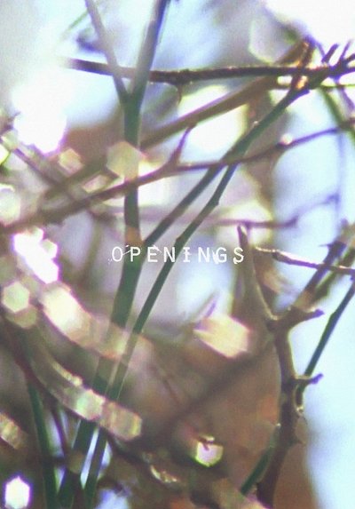 Poster do Filme Openings