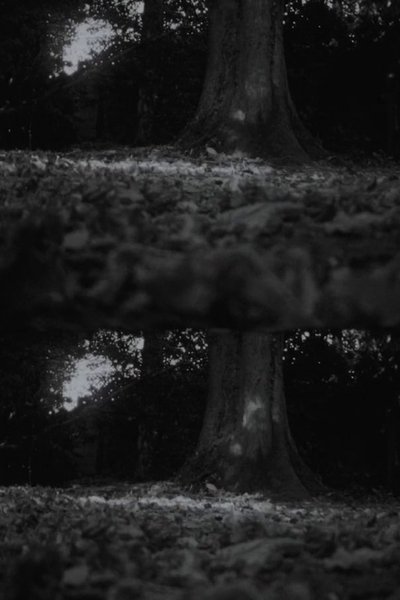 Poster do Filme Autumn Leaves