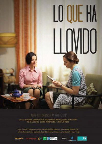 Poster do Filme Lo que ha llovido