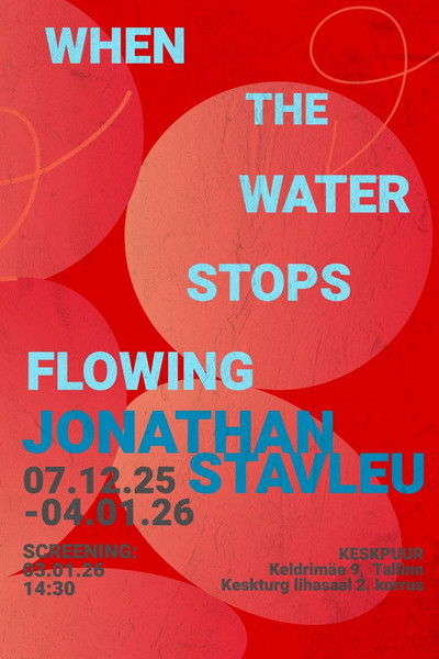 movie poster for When the Water Stops Flowing