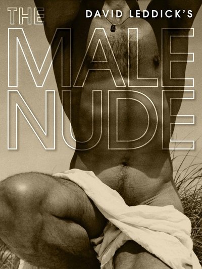 Poster do Filme The Male Nude