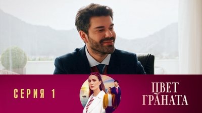 1.1