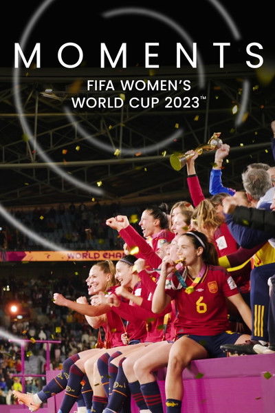 Poster do Filme Moments