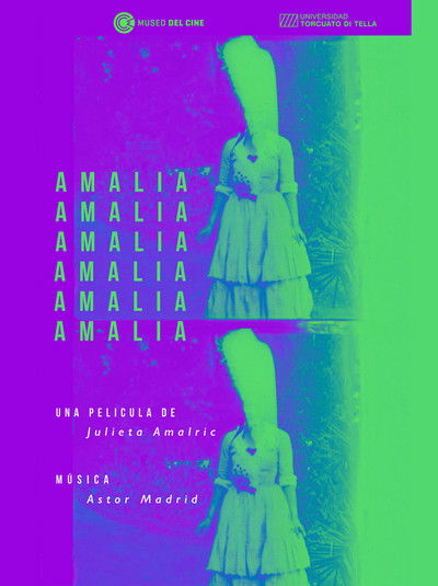 Poster do Filme Amalia