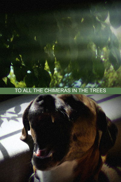 Poster do Filme To All the Chimeras in the Trees