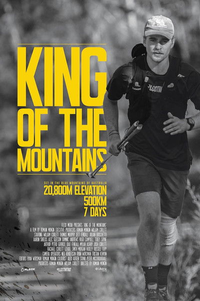 Poster do Filme King of the Mountains