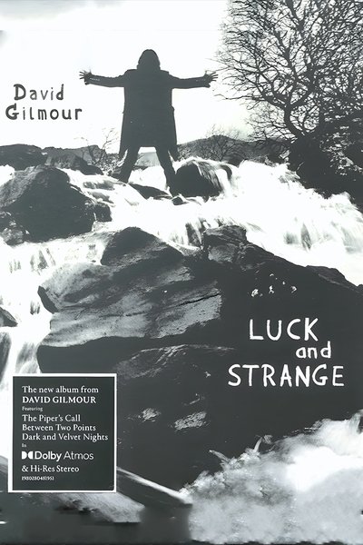 Poster do Filme David Gilmour - Luck And Strange