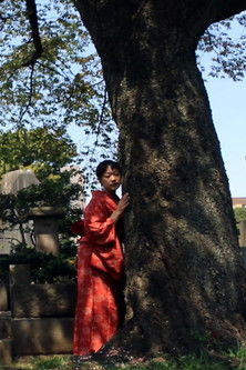 Poster do Filme Encounters with Silence