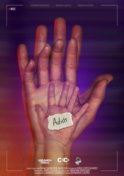 Poster do Filme Adiós
