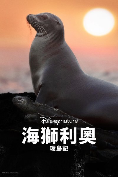 海狮利奥环岛记