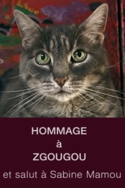 Poster for the movie Tribute to Zgougou the Cat