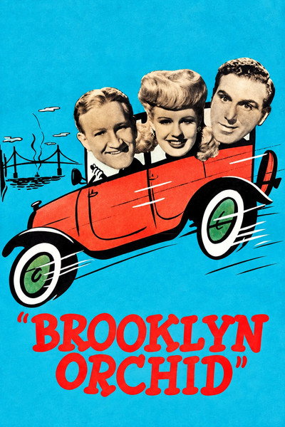 Brooklyn Orchid
