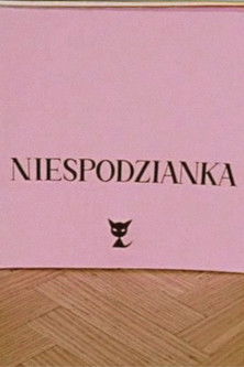 Poster do Filme Niespodzianka