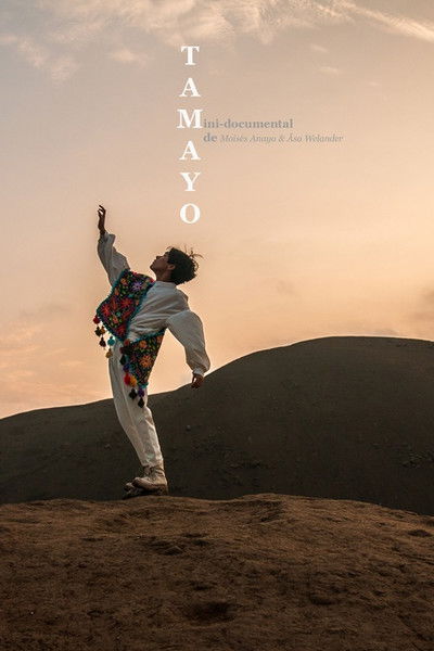 Poster do Filme Tamayo