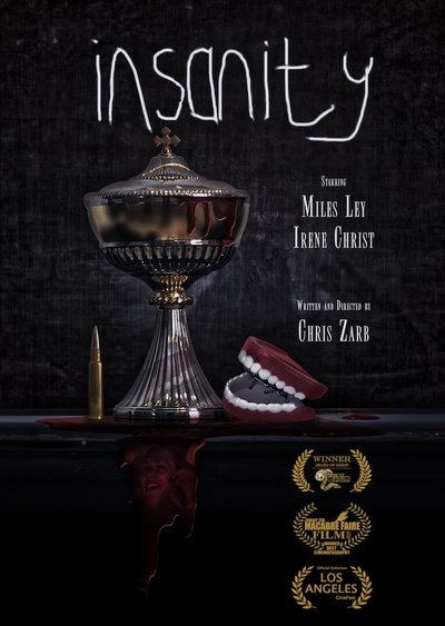 movie poster for Insanity