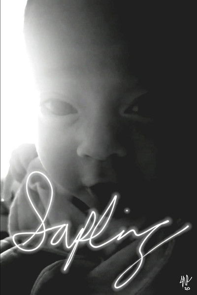 Poster do Filme Sapling