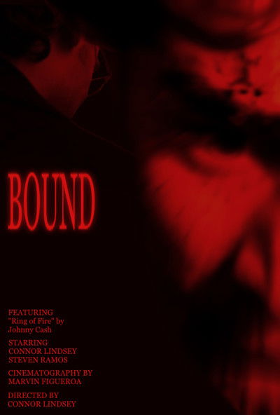 Poster do Filme BOUND