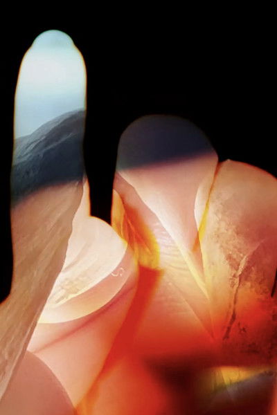 Poster do Filme Morte avant rouge