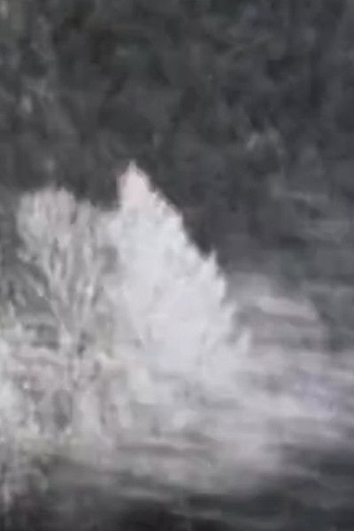 Poster do Filme Chronographies