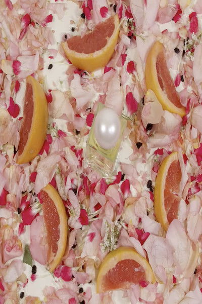 Poster do Filme Régime des Fleurs Chloë Sevigny Little Flower