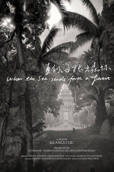 Poster do Filme Quando o Mar Manda uma Floresta